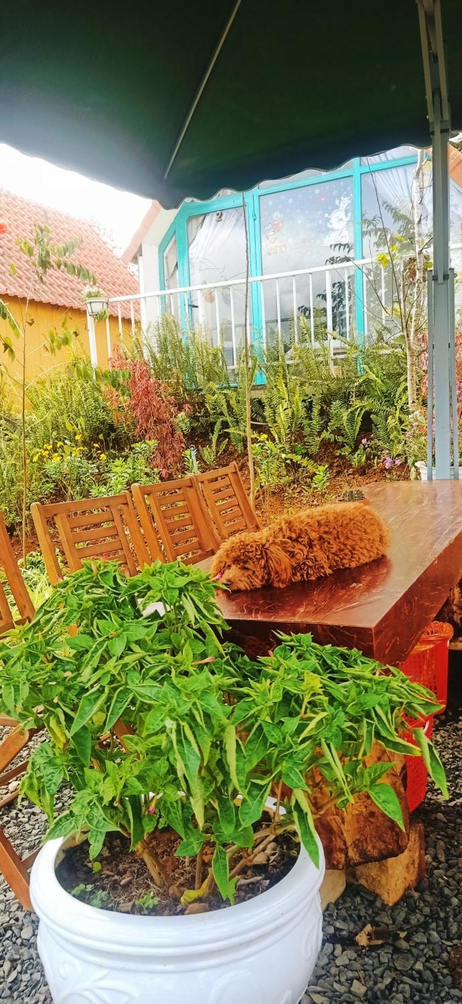 Paradiso Homestay Mangden Kon Von Kla Exteriör bild